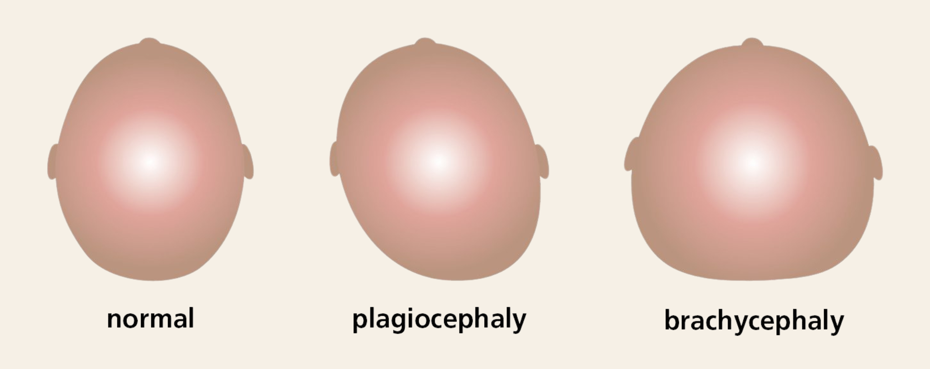  Photo credit:&nbsp;  www.nhs.uk  